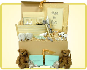Special Twins - New Baby Gift Box